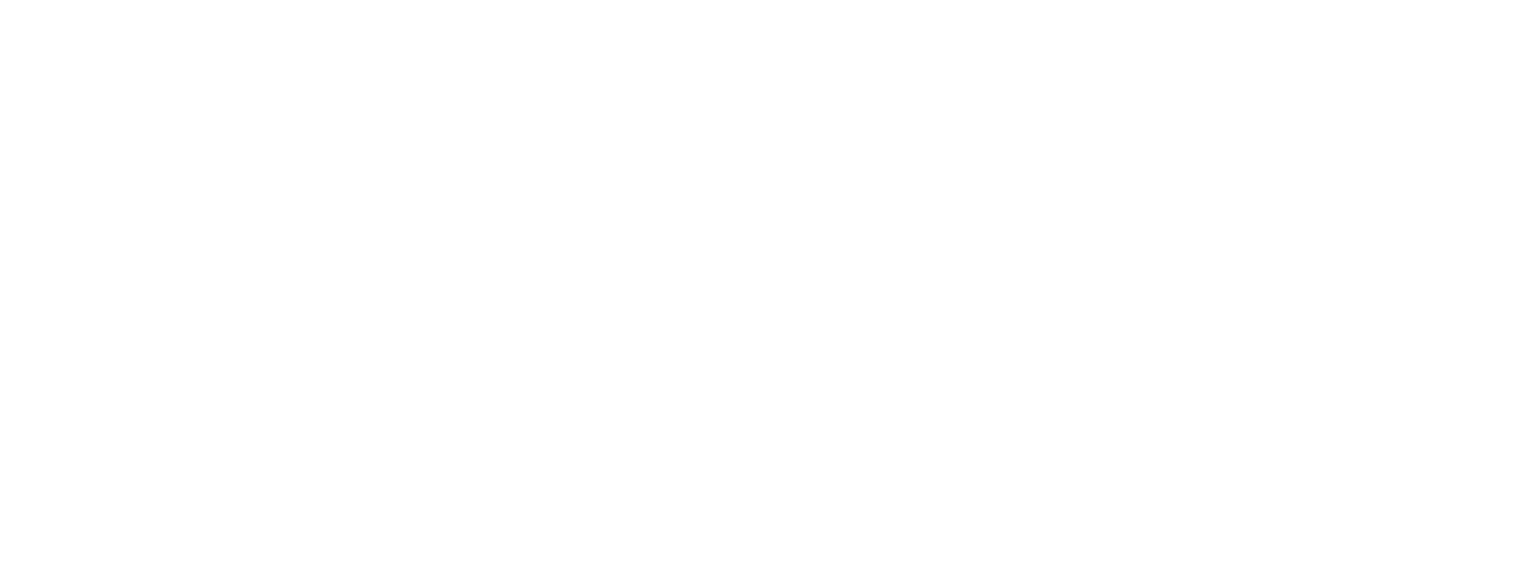 fibre geeks logo white